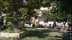Kelepouris Nikolaos